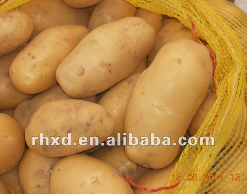 fresh potato importers in dubai,price of fresh potatoes