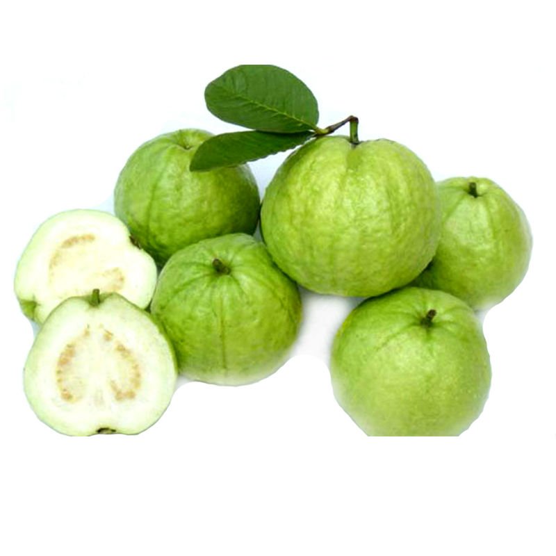 Spray Dried Guava Juice Powderchina Fh Price Supplier 21food 7962