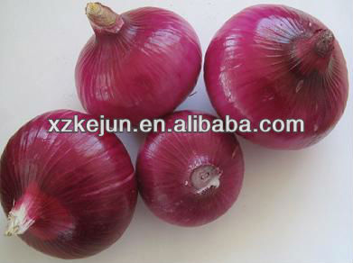 2013 new crop smooth surface red onion