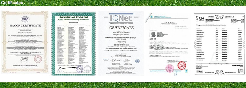 Organic Green Tea Extract,Natural Green Tea Extract Powder,Green Tea Polyphenol