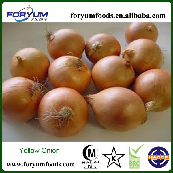 2013 New Crop Yellow Onion