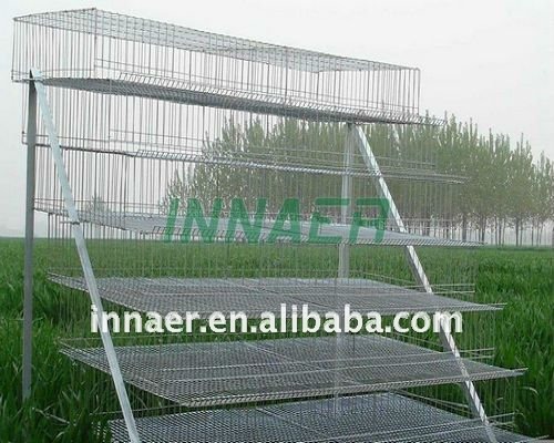 quail layer cages factory(20 years factory Anping,China)