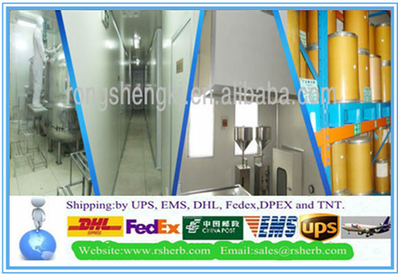 High Quality Hydrolyzed Casein with Casein Price