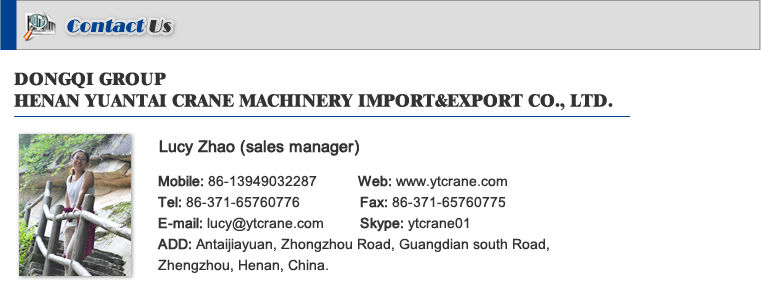中国から携帯用クレーン建設mechinary30トン仕入れ・メーカー・工場