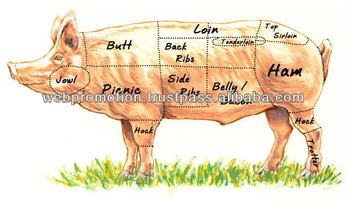 Frozen Pork Shoulder