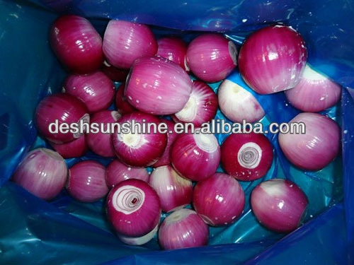 IQF Frozen Onion Dice
