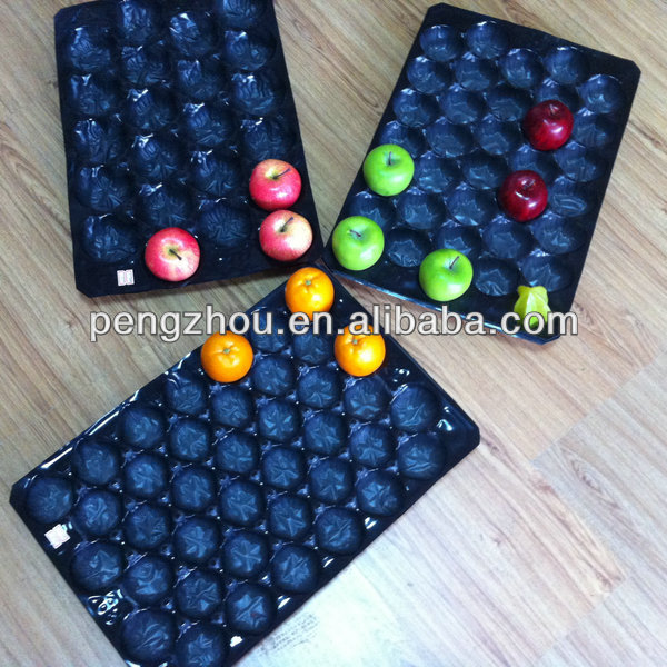 China customed pp plastic food tray