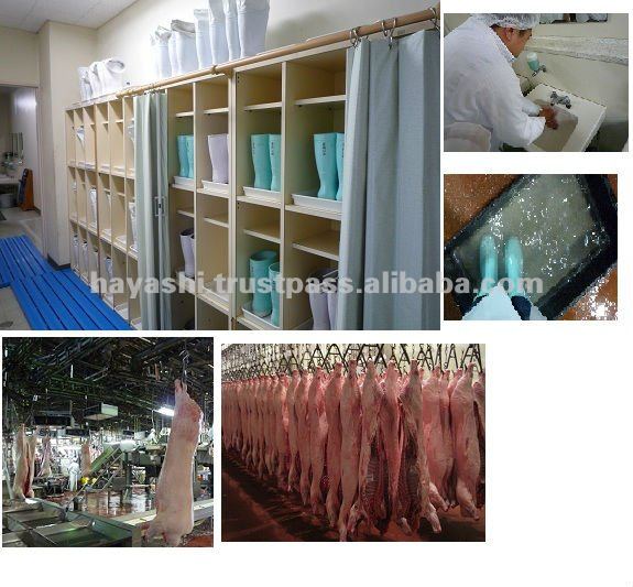 By mixing carefully selected feed, we are able to curb the propagation of harmful bacteria and optimize the intestinal health o