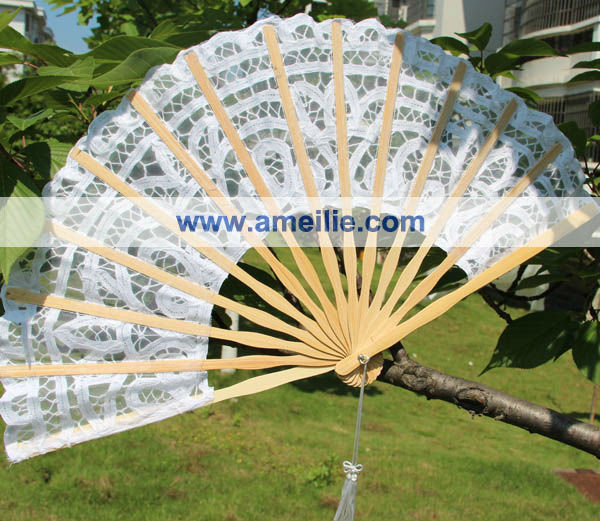 A-Fan044b.jpg