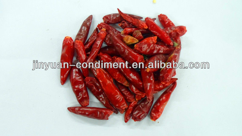 Top quality Dried red Chilli Pepper