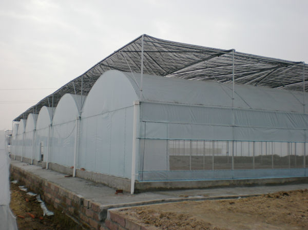 greenhouse shade