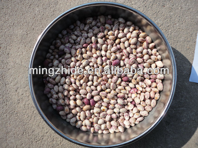 Light Speckled Kidney Beans, round shape 2014 new crop;