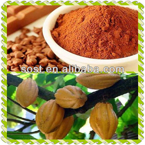 Factory Supply High Nice Cocoa Bean Extract