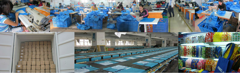 不織布の袋、 再利用可能な不織布ショッピングバッグ、 非編まれた袋をppラミネーション問屋・仕入れ・卸・卸売り
