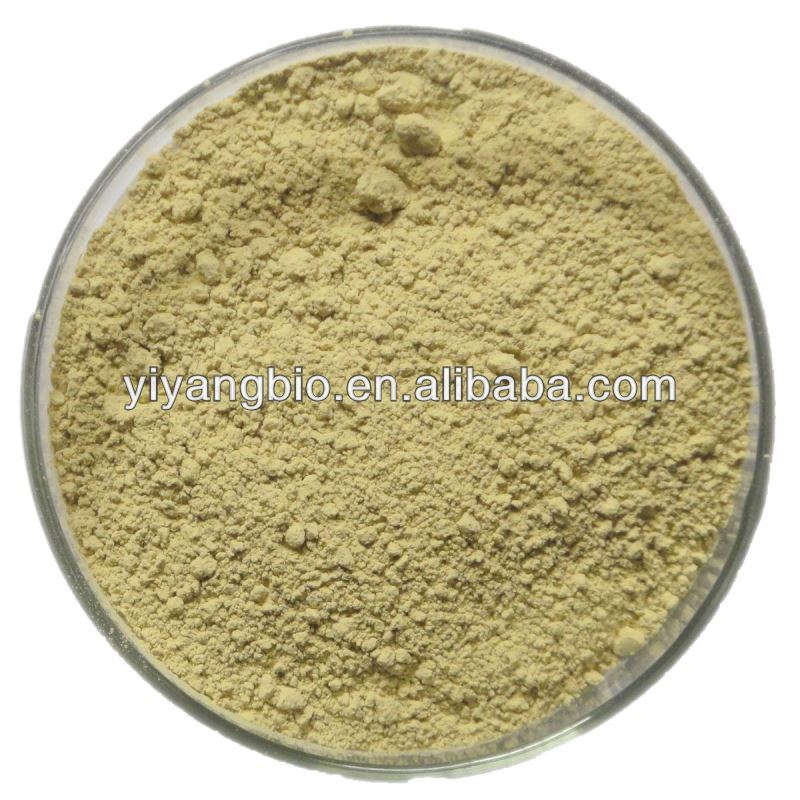 Supply korean red ginseng extract tea