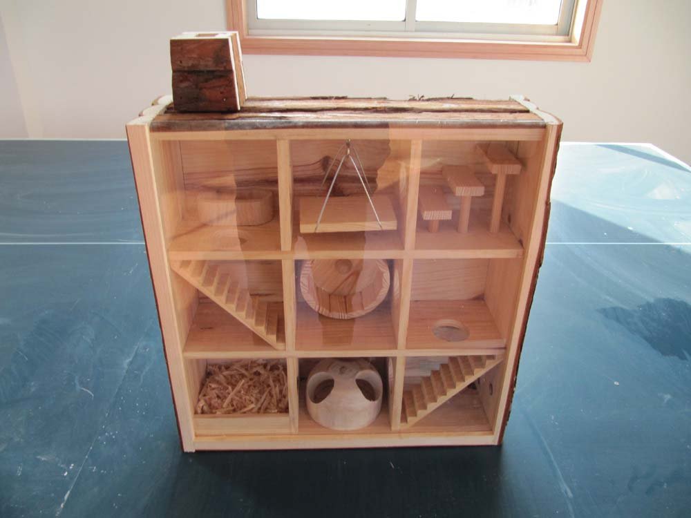 Observable Wooden Hamster House With Playground - Buy 