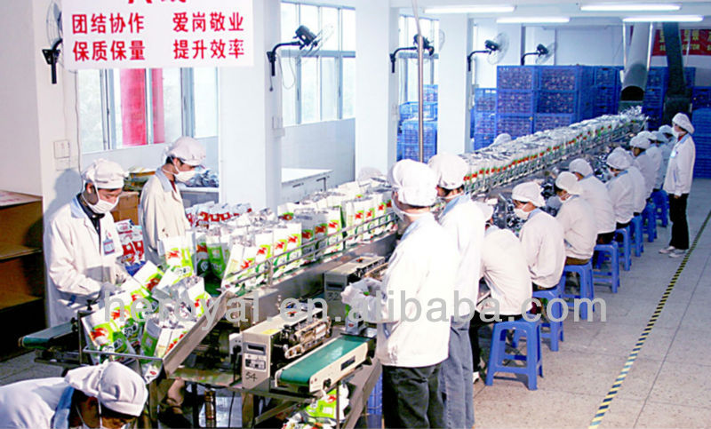 900g Red Date Mung Bean Oatmeal