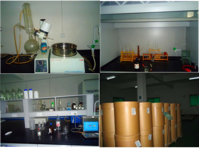 Pure and Natural Instant Tea Powder