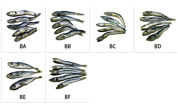 Sliced Niboshi.HACCP compliant (Dry Sardine) Atsukezuri 1kg for Ramen Noodle Cuisine
