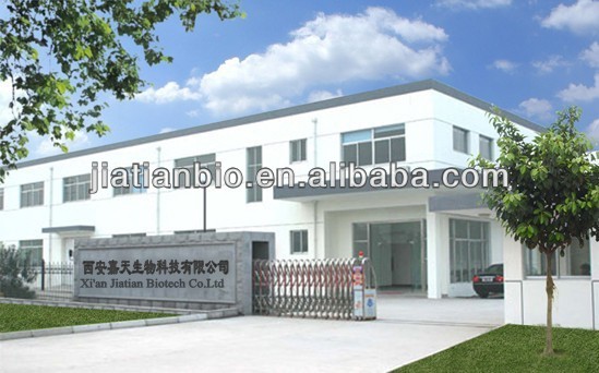 100% natural cocoa seed extract in large store