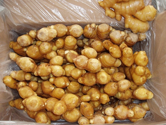 fresh ginger3.JPG