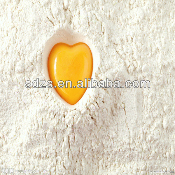 premium and running quality wheat flour for sale in bulk