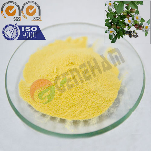 Camellia oleifera Seed Extract Powder Tea Saponin