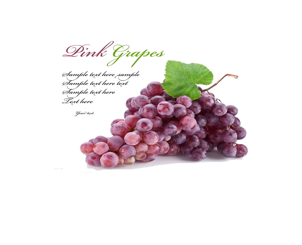 Top quality black grape seed extract 100% natural