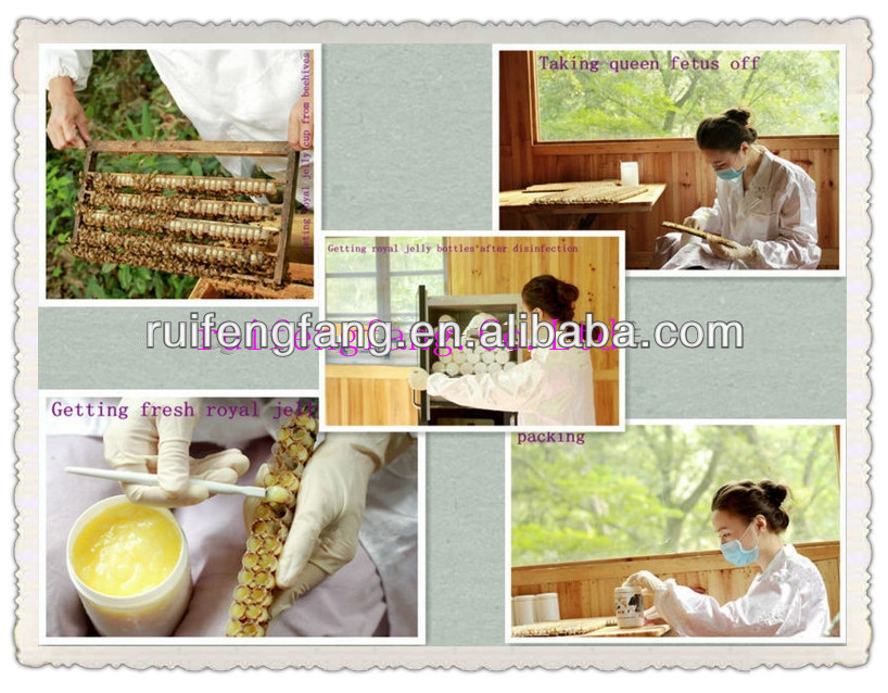 2014 Spring fresh honey royal jelly made by ruifengfang
