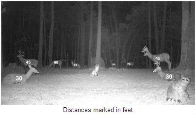 Best deer hunting trail cameras