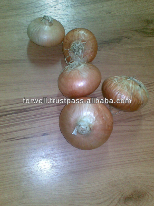Yellow Onion with all sizes