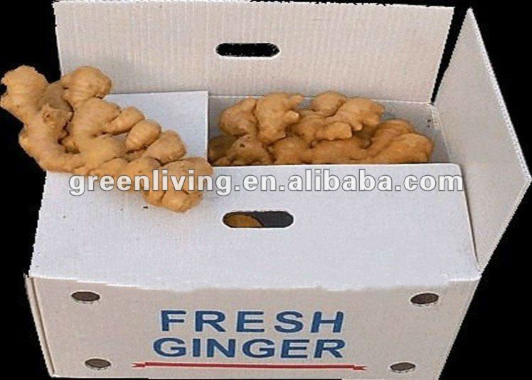 Fresh Ginger, 2012 Crop, 100% Export Standard