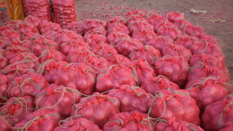 FRESH RED ONION