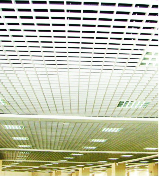 grid ceiling 4