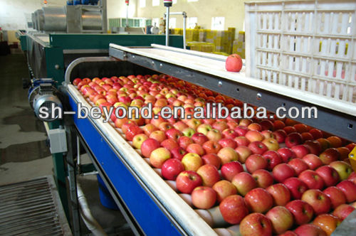 complete set of apple processing line