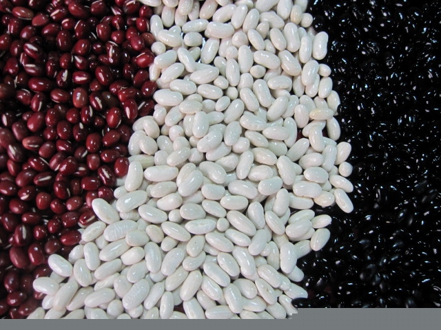 all size Japanese white kidney bean