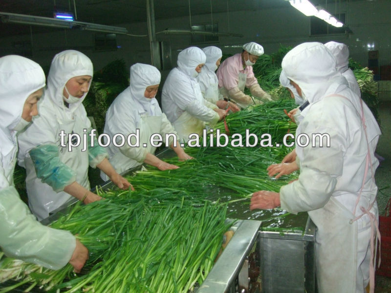 Frozen Sliced Spring Onions