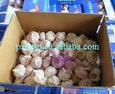 The agriculture of normal white (purple) garlic in China