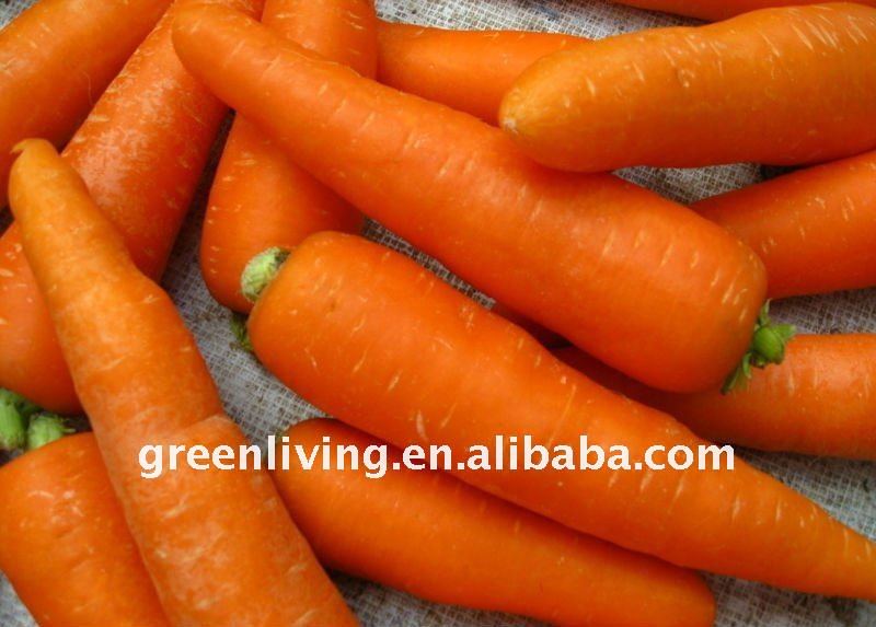 Organic Bulk Carrots For Market