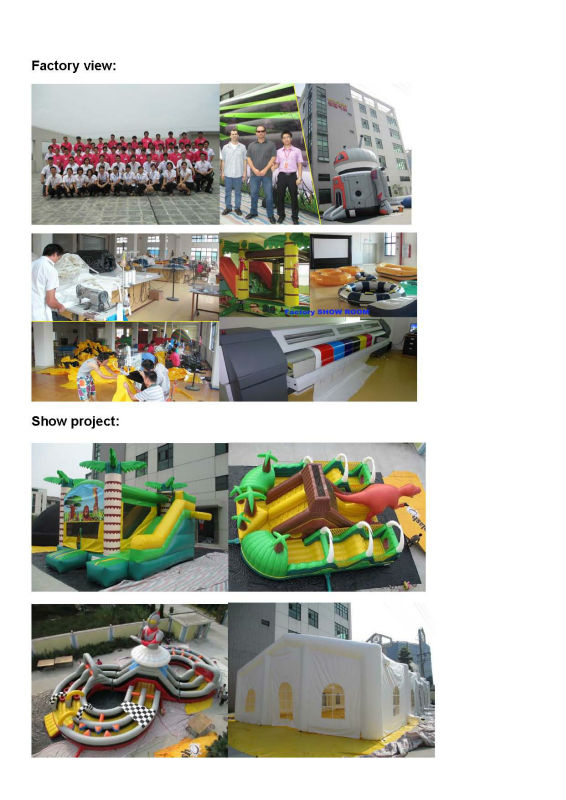 Best Selling Inflatable Coconut Bouncer Slide