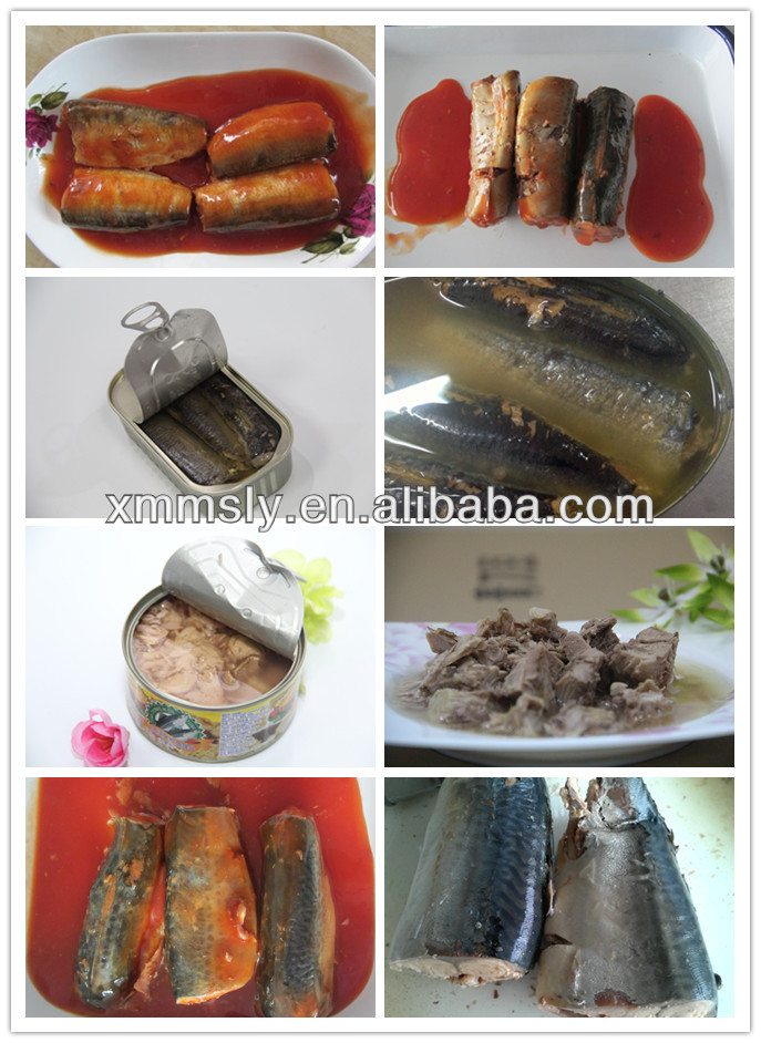 Canned Mackerel In Brine/Canned Mackerel In Oil/425G Canned Mackerel In Tomato Past
