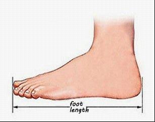 foot length.jpg