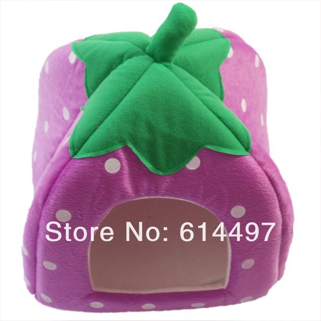650551.jpg