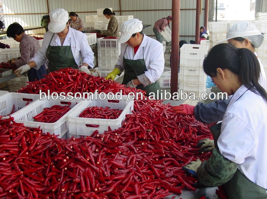 top quality IQF frozen red pepper