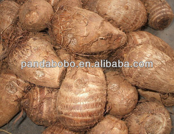 New crop Fresh Carrot for supplier