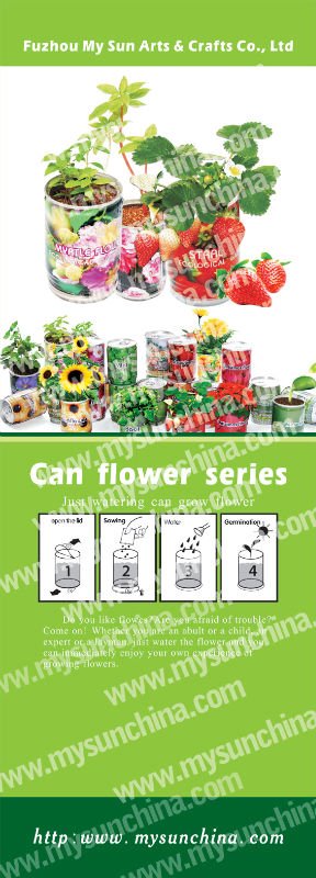 錫花の植栽、 can花、 保育ポット、 プロモーションのためのギフト。問屋・仕入れ・卸・卸売り