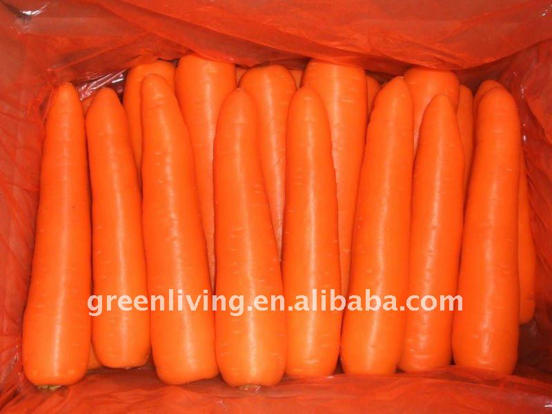 2013 new crop carrot from Shandong, China(80-150g)(150-250g up)