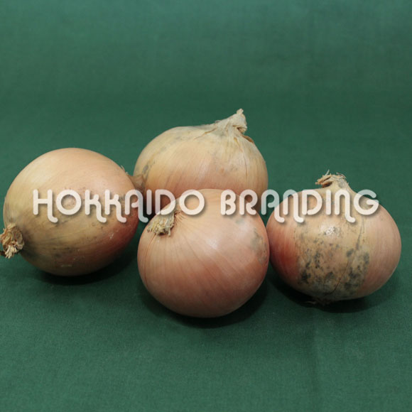 Regular Onion 20kg
