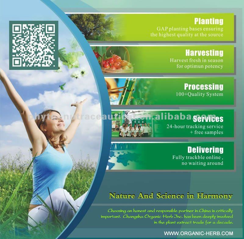 Green tea extract powder 95% polyphenols