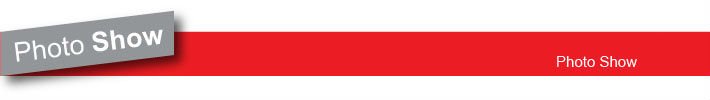 スパゲッティストラップhe03679rd動物のプリントカジュアルドレス2012高いストレッチ問屋・仕入れ・卸・卸売り